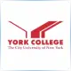 CUNY York College - Medical Assistance School Ranking