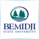 Bemidji State University - Medical Assistance School Ranking