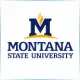 Montana State University Billings - Medical Assistance School Ranking