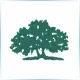 RIVEROAK Technical College - Medical Assistance School Ranking